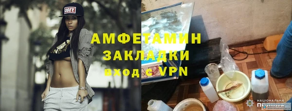 индика Новозыбков