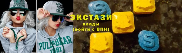 индика Новозыбков