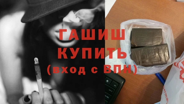 индика Новозыбков