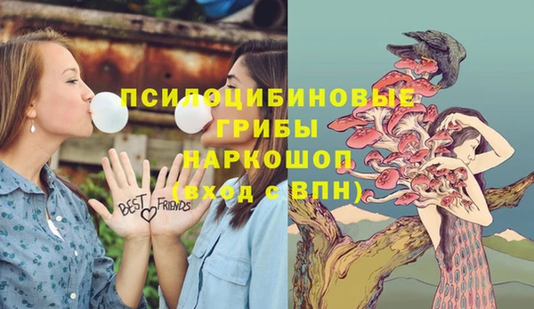 дмт Новокубанск