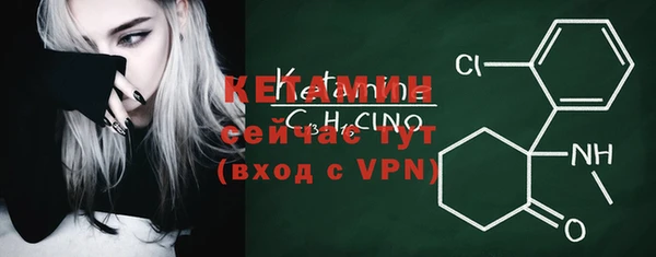 индика Новозыбков