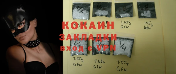 индика Новозыбков