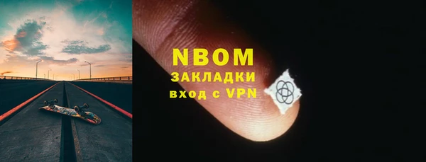 индика Новозыбков
