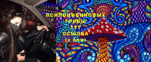 МДПВ Новодвинск