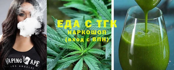 индика Новозыбков