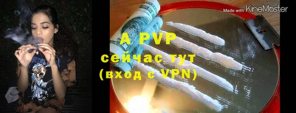 индика Новозыбков