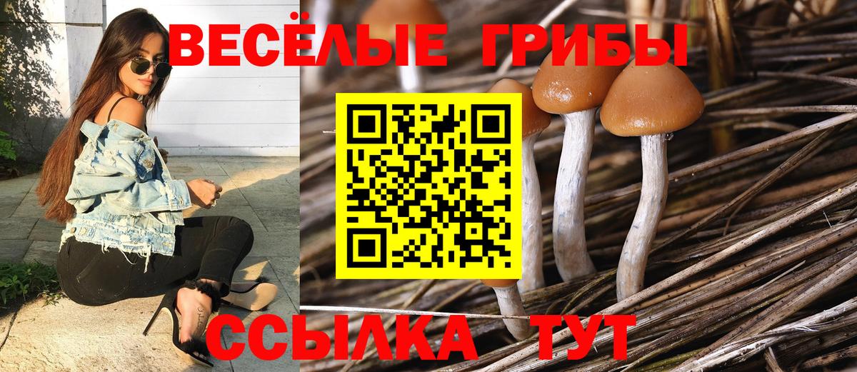 Псилоцибиновые грибы Magic Shrooms  Псилоцибиновые грибы мицелий  Кудымкар  Вход с VPN 